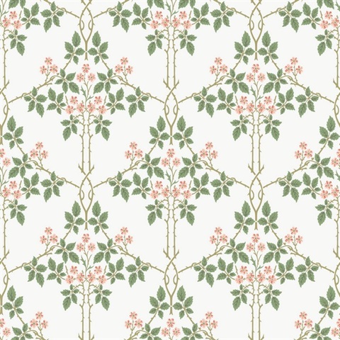 Blackberry Pink Vine Trellis Wallpaper