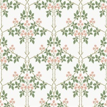 Blackberry Pink Vine Trellis Wallpaper