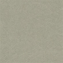 Blain Pewter Texture Wallpaper