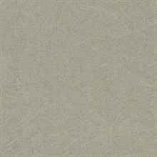 Blain Pewter Texture Wallpaper