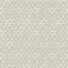 Blissful Bone Harlequin