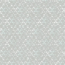 Blissful Light Blue Harlequin