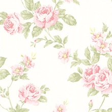 Bloom Blush Floral Trail Wallpaper