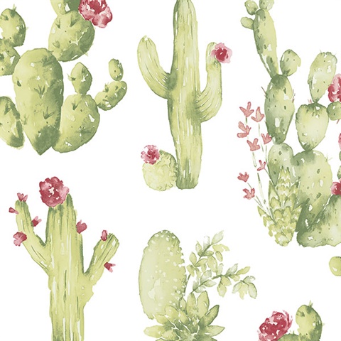 Blooming Cacti Wallpaper