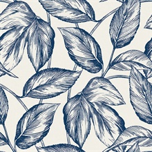 Blue Beckett Sketched Leaves Wallpaper