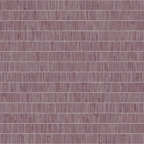 Blue Grass Band 54 Pink Pomona Commercial Wallpaper