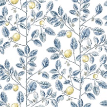 Blue Lemon Tree Toile Wallpaper