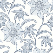 Blue Star Flower Coastal Floral Wallpaper