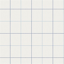 Blue & White Skinny Lined Ginham Wallpaper
