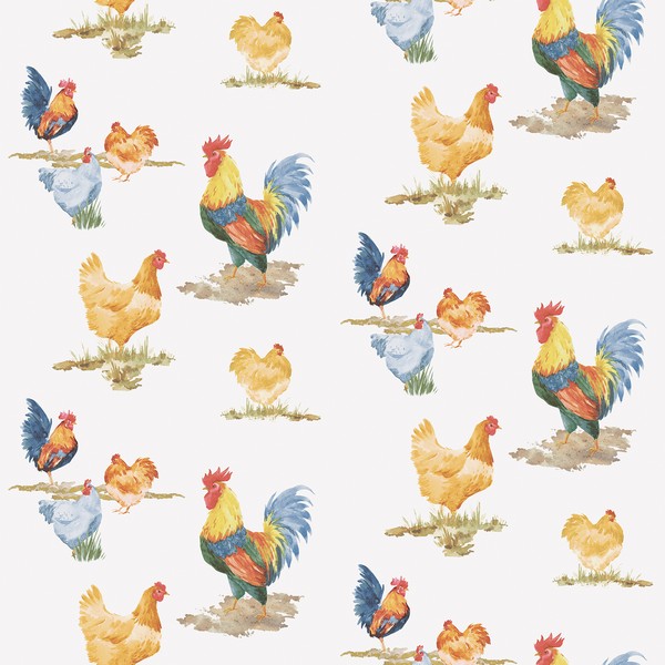 Chicken   Stock Poultry HD phone wallpaper  Pxfuel
