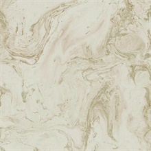 Blush & Glint Oil & Marble Wallpaper