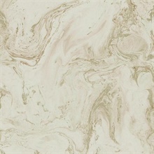 Blush &amp; Glint Oil &amp; Marble Wallpaper