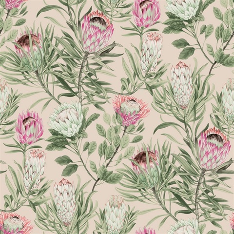 Blush Large Drawn Protea Floral & Leaf Wallpaper