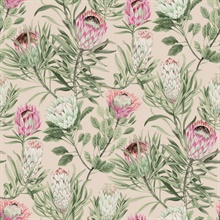 Blush Large Drawn Protea Floral &amp; Leaf Wallpaper