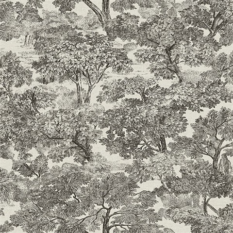 Blyth Black Toile Wallpaper