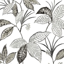 Boho Leaf Trail Botanical Greystone Peel and Stick Wallpaper
