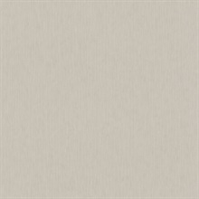 Bone Enigma Versace Italian Wallpaper