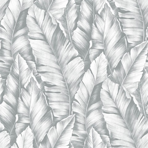 Botanical Baha Banana Leaves Daydream Grey Peel and Stick Wallpaper