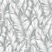 Botanical Baha Banana Leaves Daydream Grey Peel and Stick Wallpaper