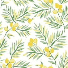 Botanical Lemon Branch Lemon & Sage Peel and Stick Wallpaper