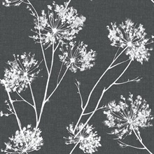 Botanical One O'Clocks Charcoal Peel and Stick Wallpaper