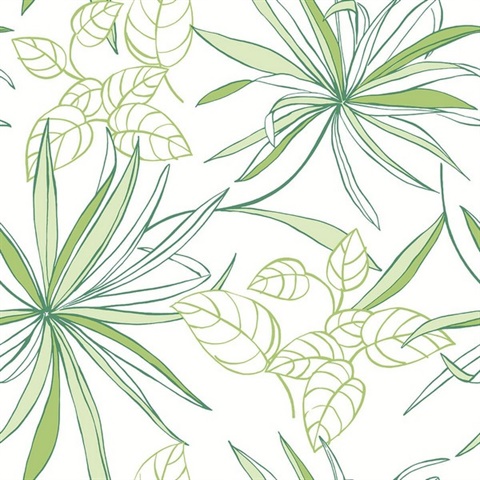 Botanical Spider Plants Green Peel and Stick Wallpaper