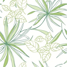 Botanical Spider Plants Green Peel and Stick Wallpaper