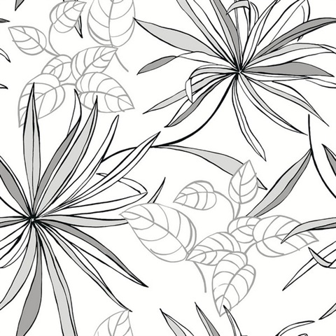Botanical Spider Plants Greyscale Peel and Stick Wallpaper