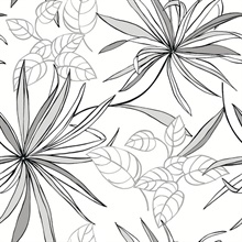 Botanical Spider Plants Greyscale Peel and Stick Wallpaper