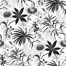 Botanical Tropical Garden Black & White Peel and Stick Wallpaper
