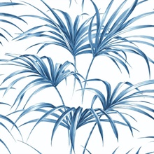 Botanical Tropical Palm Leaf Coastal Blue Peel and Stick Wallpaper