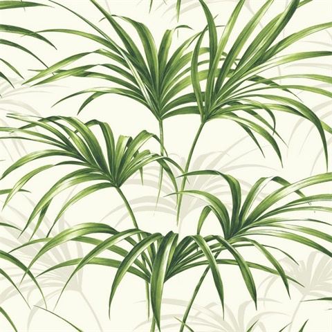 Botanical Tropical Palm Leaf Green and Off-White Peel and Stick Wallpa