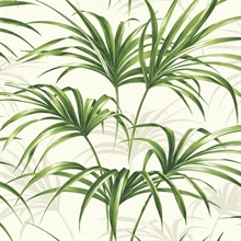 Botanical Tropical Palm Leaf Green and Off-White Peel and Stick Wallpa