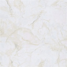 Botticino Pink Marble Wallpaper