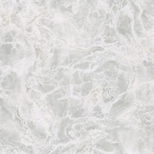 Botticino Silver Marble Wallpaper