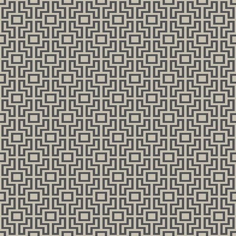 Boxwood Black Geometric