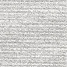 Bravos BL20-5191 Commercial Wallpaper