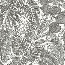 Brentwood Black & White Textured Palm Leaves Wallpaper
