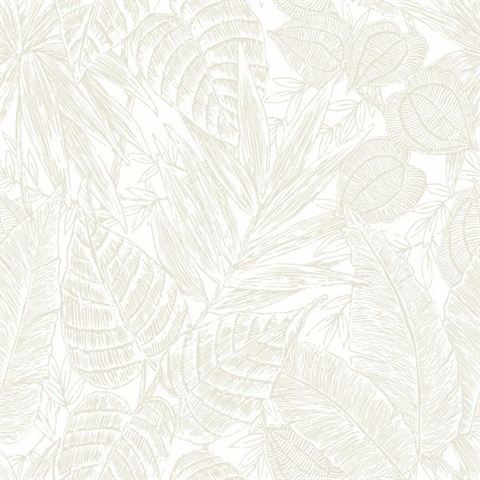 Brentwood Bone Textured Palm Leaves Wallpaper