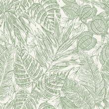 Brentwood Green Textured Palm Leaves Wallpaper