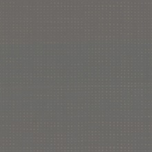 Brielle Pewter Polka Dot Wallpaper