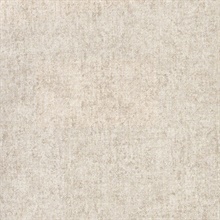 Brienne Beige Linen Texture