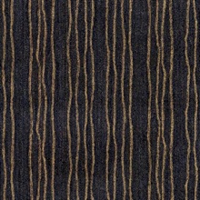 Brighton Lane Empire Gold Chords