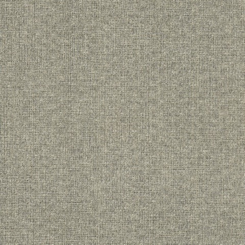 Brindled Shadow Commercial Wallpaper