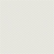 Brioni Grey French Floral Stamp Wallpaper