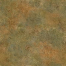 Bronze Jenney Texture