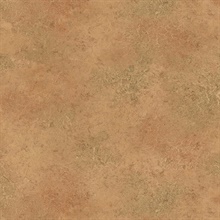 Brown Antique Plaster