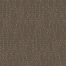 Brown &amp; Gold Star Struck Metallic Dots Wallpaper