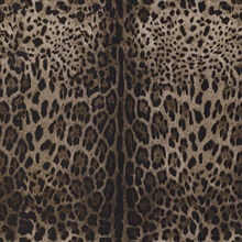 Brown & Taupe Leopard Skin Dolce Caterina Wallpaper