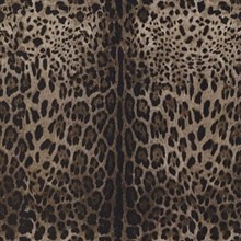 Brown &amp; Taupe Leopard Skin Dolce Caterina Wallpaper